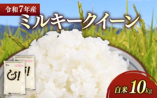 新米 令和7年 彦根産 ミルキークィーン 10kg(5kg×2袋) お米 白米 米 精米 こめ コメ おこめ ご飯 ごはん おすすめ 送料無料 滋賀 彦根 ひこね