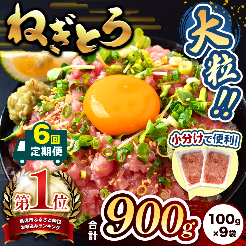 【定期便・6ヶ月】＼ 新登場！小分け 100g パック ／ 清幸丸水産 大人気！ねぎとろ（100g×9袋）900g | ネギトロ とろ 鮪 海鮮 魚介 魚 人気 小分け 人気 定番 ご飯 オススメ 千葉県 君津市 きみつ