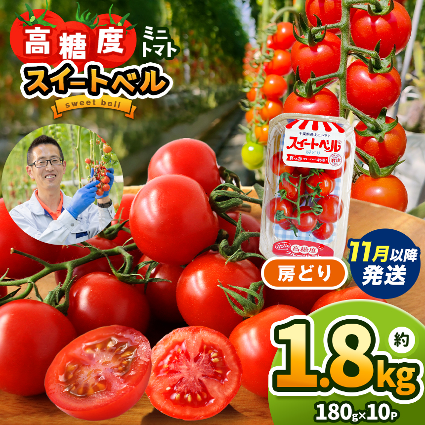 [5月発送] 高糖度 ミニトマト スイートベル ( 房どり ) 180g × 10P | 野菜 トマト ミニトマト プチトマト トマト 高糖度 トマト とまと 小分け 君津とまとガーデン 千葉 君津 きみつ