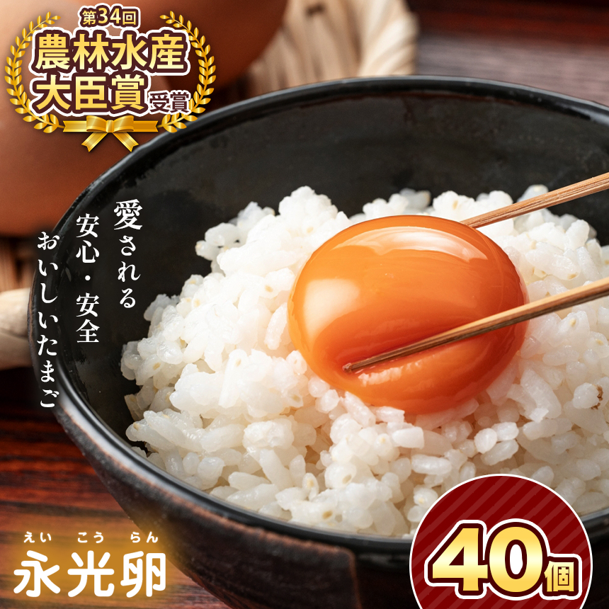 2週間以内に発送 メディア紹介多数! おいしいたまご永光卵 40個 えいこうらん 光永ファーム 卵 たまご 君津市産 | たまご 卵 タマゴ 玉子 永光卵 卵かけご飯 お菓子作り 新鮮 オススメ 千葉県 君津市 きみつ