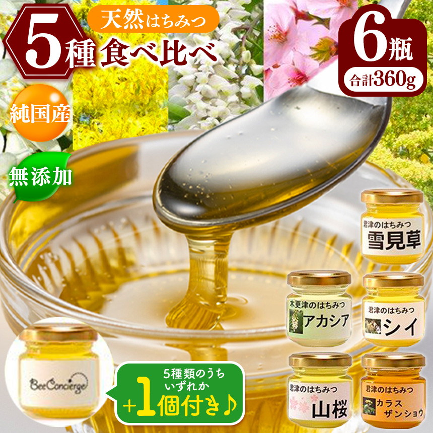 国産 はちみつ 5種 6瓶 食べ比べセット 養蜂家 齊藤兄弟 Bee concierge ビーコンシェルジュ | はちみつ 蜂蜜 ハチミツ 天然蜂蜜 国産蜂蜜 食べ比べ 詰合せ セット 新鮮 オススメ 千葉県 君津市 きみつ
