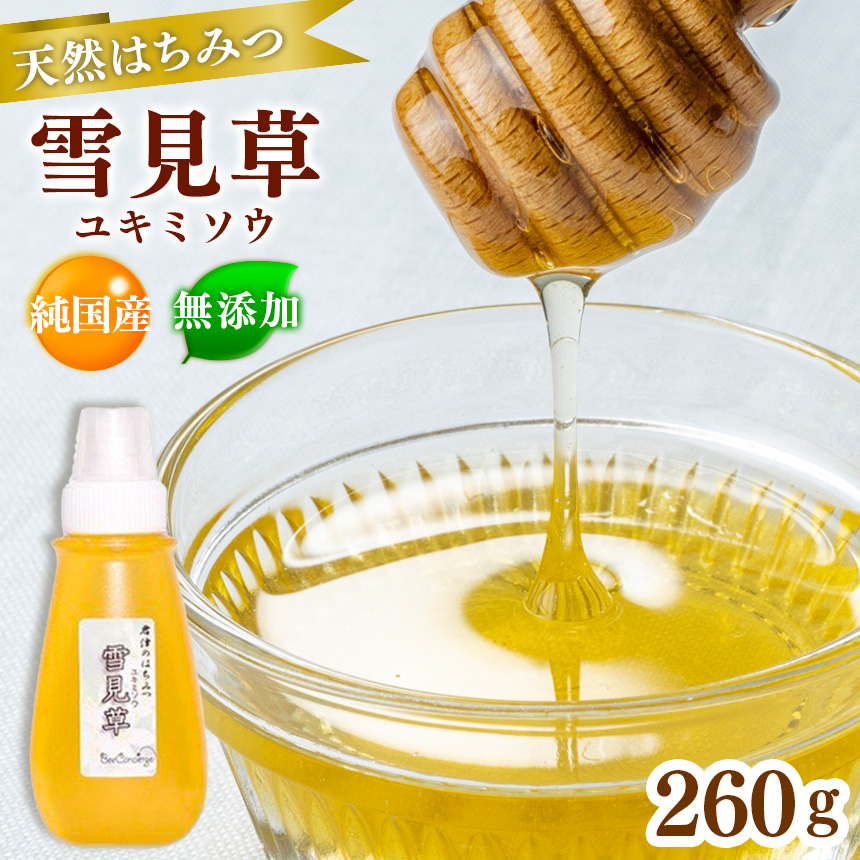 国産 はちみつ 雪見草はちみつ 260g チューブ入り  養蜂家 齊藤兄弟 Bee concierge ビーコンシェルジュ | はちみつ 蜂蜜 ハチミツ 雪見草はちみつ 天然蜂蜜 国産蜂蜜 新鮮 オススメ 千葉県 君津市 きみつ