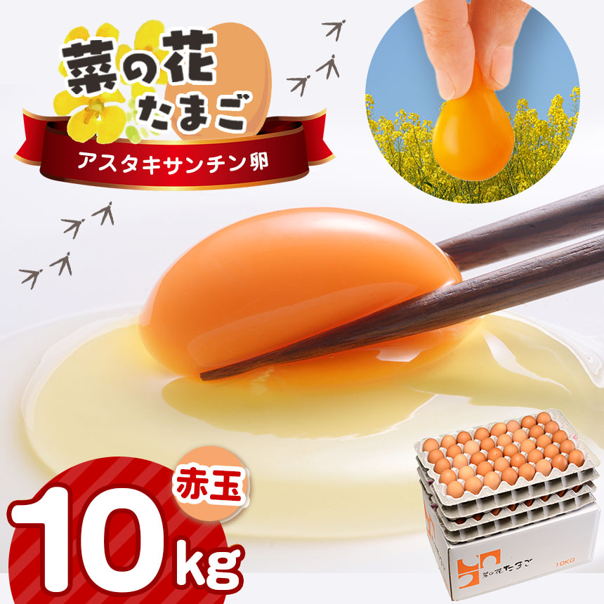 2週間以内に発送 [ 赤玉 LM 10kg入り] 君津市産 菜の花エッグ アスタキサンチン卵 菜の花たまご | 早く届く すぐ すぐ発送 たまご 卵 タマゴ 玉子 赤 卵かけご飯 お菓子作り 新鮮 オススメ 千葉県 君津市 きみつ
