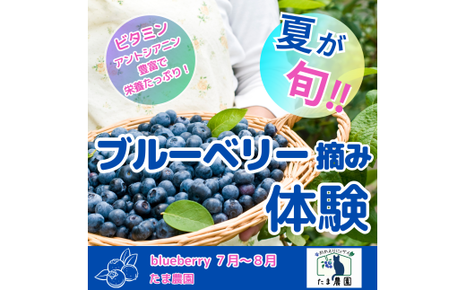 7・8月限定！ブルーベリー食べ放題！ペアチケット