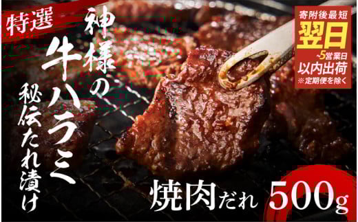 【 スピード発送 】特選神様の牛ハラミ 秘伝たれ漬け 500g(焼肉だれ1p)