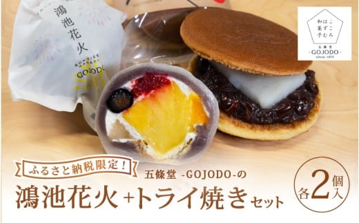 ★ふわもちの贅沢を一箱に★ 【ふるさと納税限定】五條堂(GOJODO)の鴻池花火2個入り+トライ焼き2個入りセット