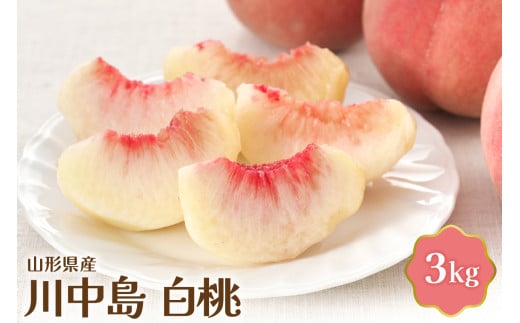 【令和8年産】 川中島白桃 3kg【JAさがえ西村山】山形県産 白桃 ピーチ 桃 川中島 ka008-012e-r8