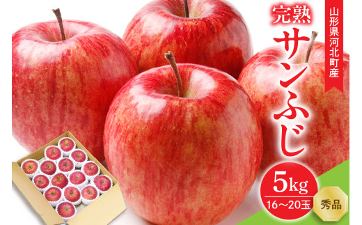 【令和7年産】サンふじりんご 完熟 5kg(約16~20玉) ギフトBOX入り 山形県河北町産【山形eLab】ka074-014