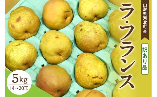 【訳あり令和7年産】 洋梨 ラフランス 5kg 山形県河北町産【山形eLab】ka074-012