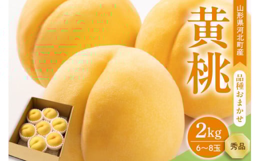 [令和7年産]黄桃 品種おまかせ 2kg (6~8玉前後) ギフト箱入 秀品 山形県産 [山形eLab]