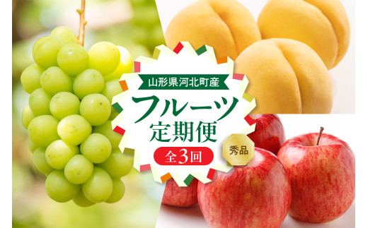 [令和7年産]8月から始まる・お取り寄せフルーツ定期便 3回 (黄桃・シャインマスカット・サンフジ)[山形eLab] ka074-031