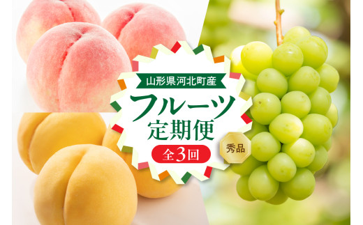 [令和7年産]8月から人気フルーツをお届け!お取り寄せフルーツ定期便 3回 (白桃・黄桃・シャインマスカット)[山形eLab] ka074-028