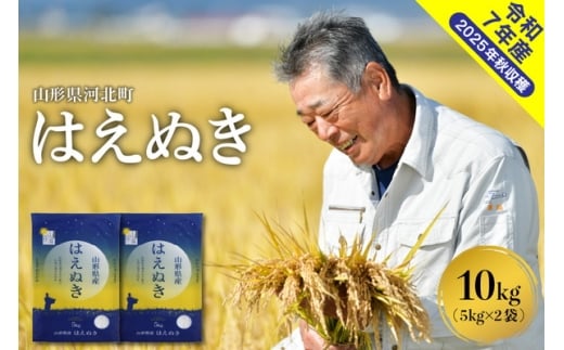 【令和7年産米】2026年5月下旬発送 はえぬき10kg（5kg×2袋） 山形県産 【米comeかほく協同組合】 ka024-045d-r7-053