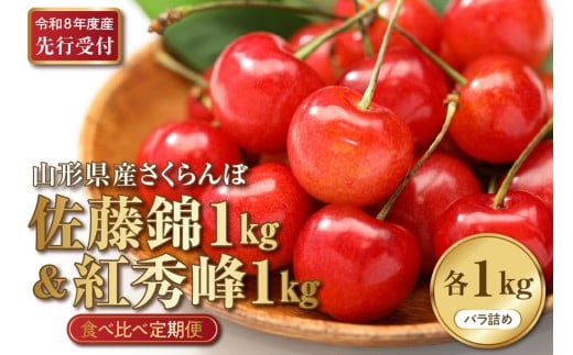【2026年産先行予約】さくらんぼ食べ比べ2回定期便 「佐藤錦」と「紅秀峰」 各1㎏(500g×2) 山形県河北町産 【晴天畑】 さくらんぼ 贈答 ギフト 秀品 先行予約 食べ比べ 令和8年産  ka073-011