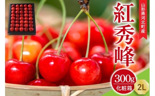 [令和8年産]さくらんぼ 紅秀峰 300g 2L玉 手詰め 特秀品 化粧箱入 山形県河北町産 [山形eLab]フルーツ 人気 贈答 ふるさと納税 河北町 2026年産 ka074-036