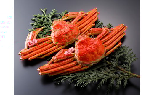 鳥取県産 タグ付茹で松葉がに　大2枚 【11月8日～2月末発送】