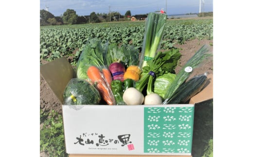 新鮮朝採れ野菜 お手頃セット