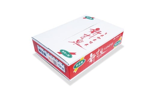 鳥取県産 新甘泉 5kg 3〜4L 12〜14玉[赤秀](大山ブランド会)