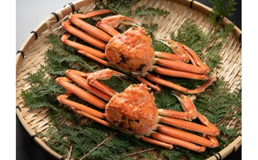 ＜お魚センターみくりや＞松葉かに（ボイル）６００ｇ～７００ｇ×２枚【髙島屋選定品】