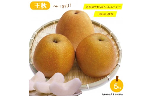 鳥取県産梨「王秋（おうしゅう）」5kg　先行受付