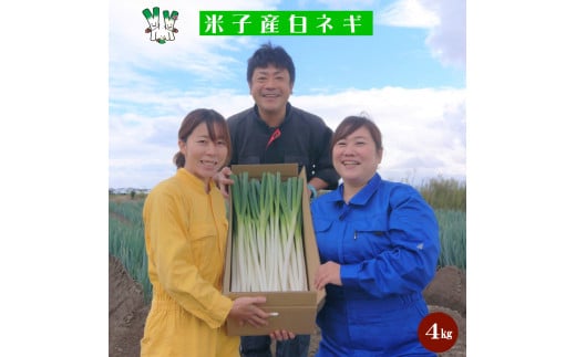 【先行予約】【訳あり】鳥取県産　白ネギの4kgバラ詰め合わせ　お届け：12月～4月末