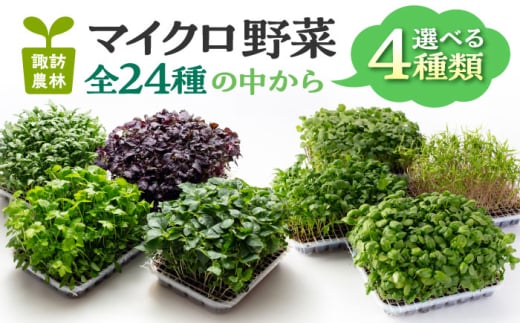 マイクロ野菜 品種が選べる 4点セット 多治見市 / 諏訪農林 [TDO005]