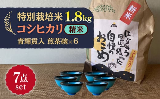 【令和7年産】 精米 コシヒカリ 特別栽培米 （1.8kg）+ 【美濃焼】 青輝貫入 煎茶碗 （6個） 多治見市 / 山松加藤松治郎商店 [TEU063]