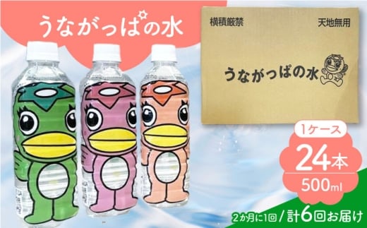 【6回定期便】 うながっぱの水 1ケース（ 500ml ペットボトル × 24本 ） 2 多治見市 /多治見市観光協会 ミネラルウォーター 備蓄 [TAQ017]