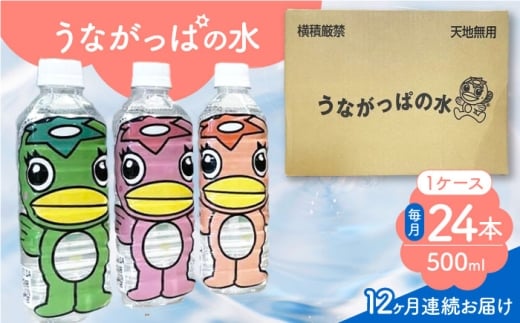 【12回定期便】 うながっぱの水 1ケース（ 500ml ペットボトル × 24本 ） 2 多治見市 /多治見市観光協会 ミネラルウォーター 備蓄 [TAQ018]