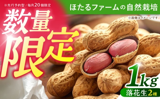 ※数量限定※ 【先行予約】 落花生 2品種 約1kg(500g×2) 多治見市 / ほたるファーム 生落花生 ピーナッツ 豆 [TEB013]