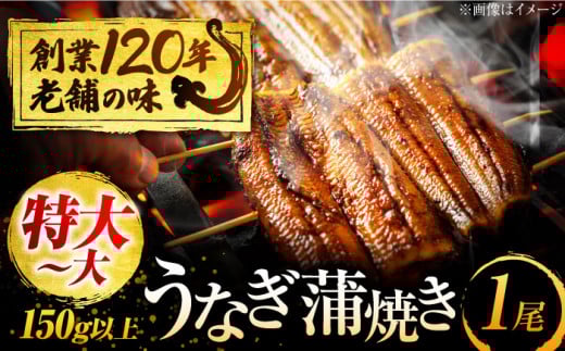 【お歳暮対象】うなぎ 蒲焼き 1尾 鰻 ウナギ 丑の日 多治見市/澤千 [TDD003]