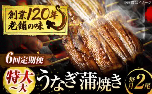 【6回定期便】 うなぎ 蒲焼き 2尾 × 6回 計12尾 鰻 ウナギ 丑の日 多治見市/澤千 [TDD006]
