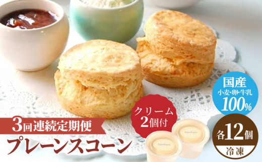 【3回定期便】 プレーン スコーン セット 12個 スコーンクリーム付き スイーツ 洋菓子 焼菓子 多治見市/famfam [TAK014]