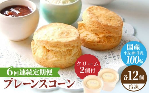 【6回定期便】 プレーン スコーン セット 12個 スコーンクリーム付き スイーツ 洋菓子 焼菓子 多治見市/famfam [TAK015]