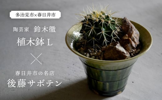 多治見市×春日井市コラボ 【美濃焼】 陶芸家「鈴木徹」 植木鉢 L × 【日本有数のサボテンの生産地】 春日井市の名店 後藤サボテン 【井澤コーポレーション】 [TBP178]
