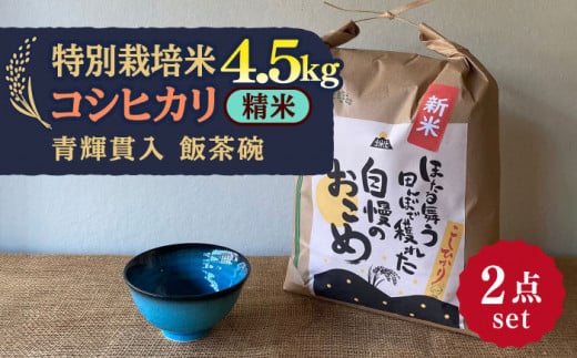 【令和7年産】 精米 コシヒカリ 特別栽培米 （4.5kg） + 【美濃焼】 青輝貫入 飯茶碗 多治見市 / 山松加藤松治郎商店 [TEU035]
