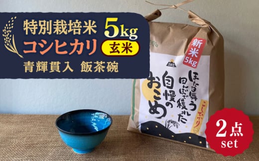 【令和7年産】 玄米 コシヒカリ 特別栽培米 （5kg） + 【美濃焼】 青輝貫入 飯茶碗 多治見市 / 山松加藤松治郎商店 [TEU036]