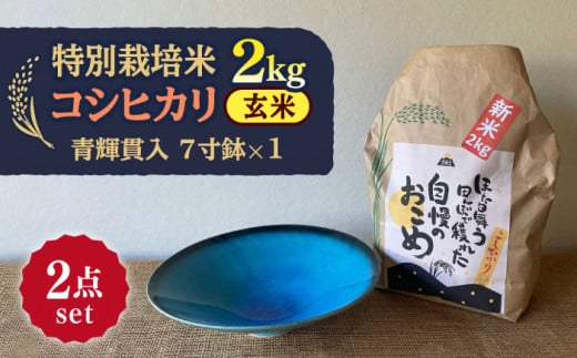【令和7年産】 玄米 コシヒカリ 特別栽培米 （2kg）+ 【美濃焼】 青輝貫入 7寸鉢 多治見市 / 山松加藤松治郎商店 [TEU050]