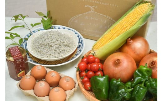 【定期便】「島のめぐみ」セット~南あわじ旬の食材~【3回コース】