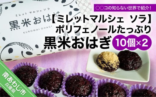 ○○コの知らない世界で紹介!ポリフェノールたっぷり 黒米おはぎ