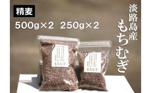淡路島 南あわじ産 もちむぎ(ダイシモチ) 1.5kg