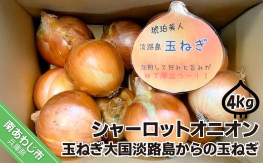 淡路島極熟玉葱4kg シャーロットオニオン 玉ねぎ大国淡路島からの玉ねぎ