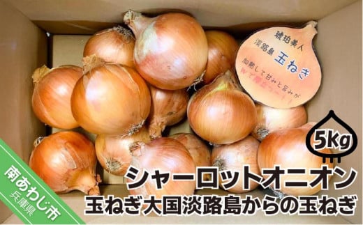 淡路島極熟玉葱5kg シャーロットオニオン 玉ねぎ大国淡路島からの玉ねぎ