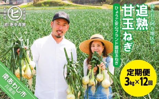 【12ヶ月定期便】「追熟甘玉ねぎ」3kg