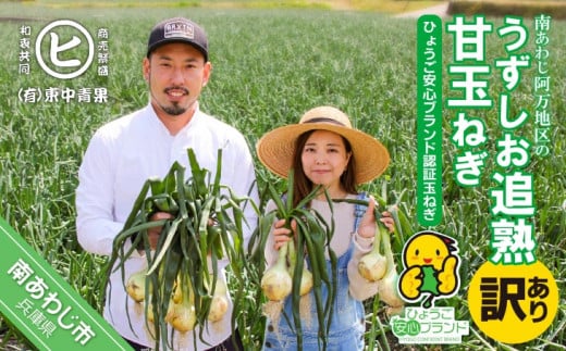うずしお追熟甘玉ねぎ(訳あり)5kg
