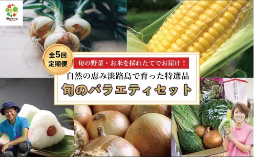 【野口ファーム】【全5回定期便】 贅沢!旬のバラエティセット