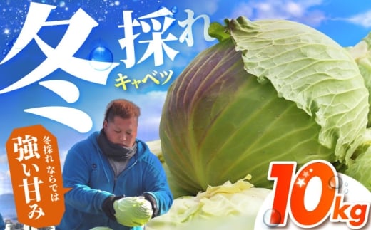 【先行予約】 キャベツ 10kg 【吉祥】 [HDG001]