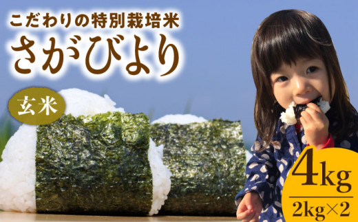 【2026年2月発送】さがびより ( 玄米 ) 4kg【北原農園】[HCA003]