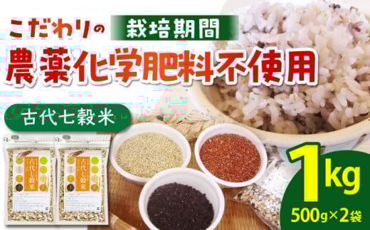 【からだが喜ぶひとときを】古代七穀米 ( 500g×2個セット ) 【だいちの家】[HAG003] 雑穀 雑穀米 古代米 発芽玄米 玄米 黒米 麦 ヒエ アワ 佐賀