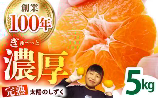 ＜先行予約＞【11月〜12月発送】タッチの甘熟 早生みかん 太陽のしずく 5kg【夢の甘熟みかん タッチ】[HCE001] / フルーツ みかん 佐賀みかん 果物 温州みかん ミカン 佐賀 佐賀県産 年内発送